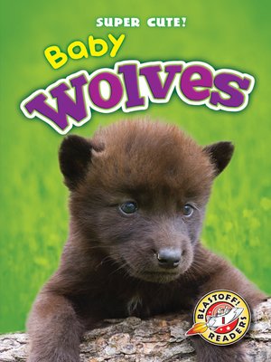 cover image of Baby Wolves
